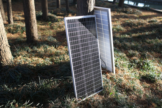 a solar panel on a tree