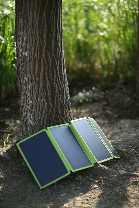 a box on a tree