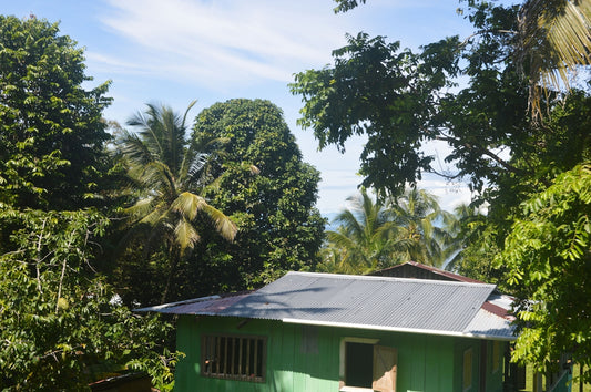 a green house with a metal roof surrounded by trees