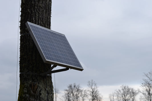 a solar panel attached to a tree