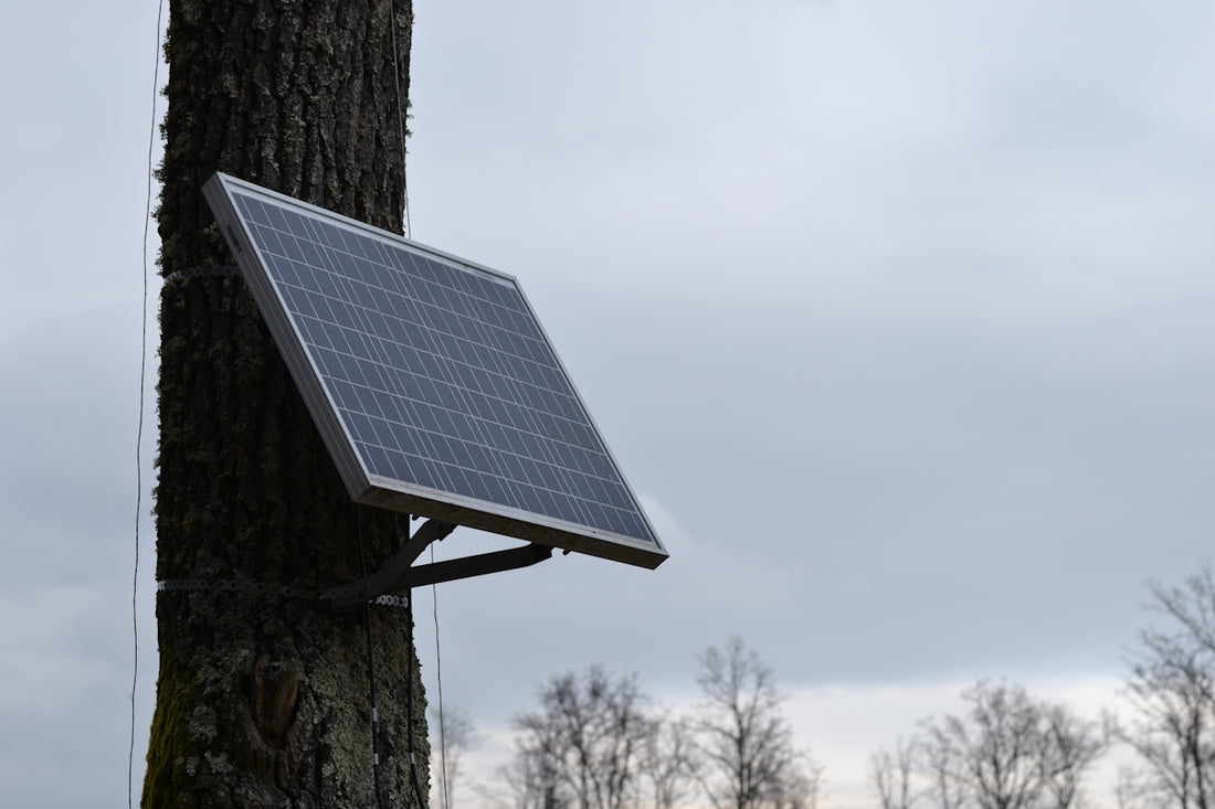 a solar panel attached to a tree