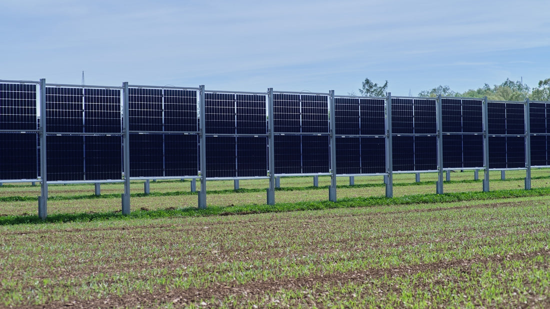 a row of solar panels in a field