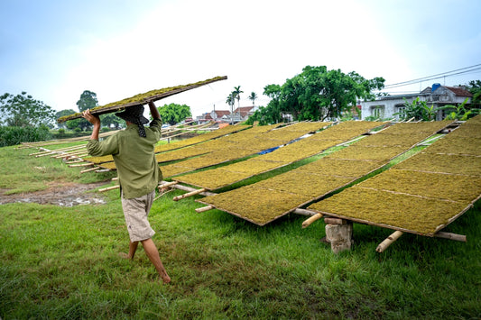 a man carrying a wooden board over his head