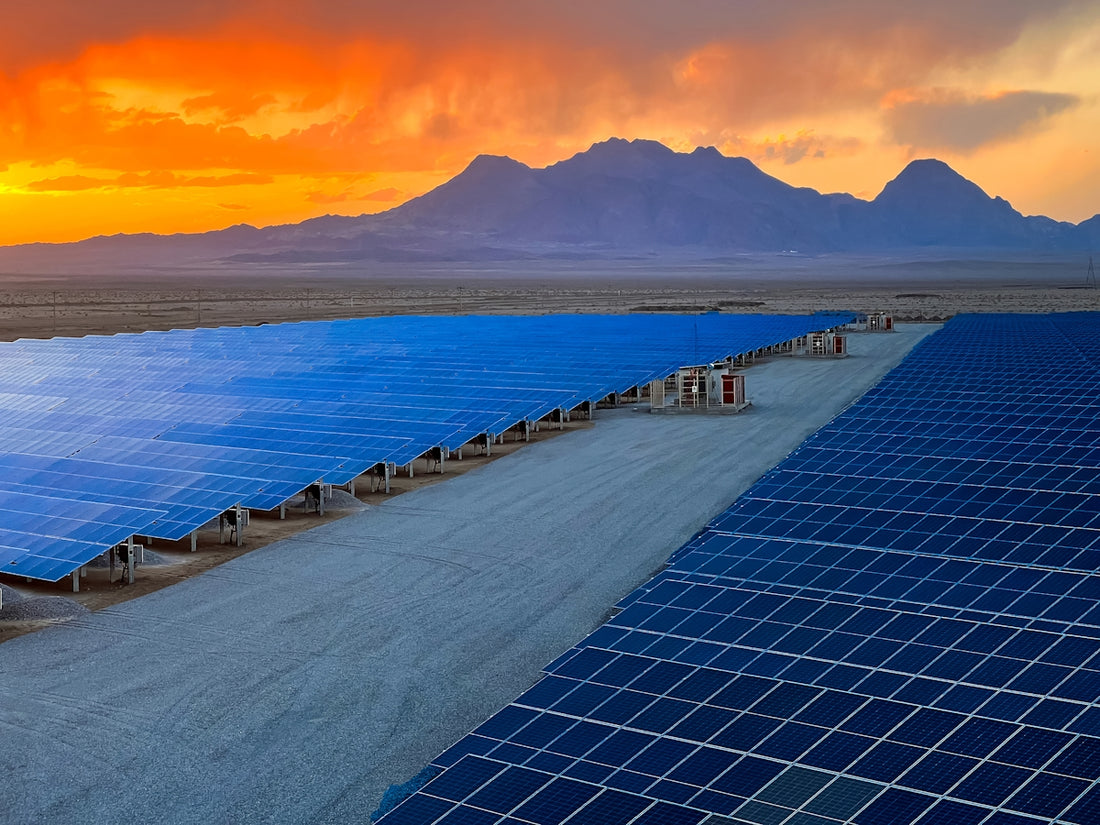 a large array of solar panels in a desert