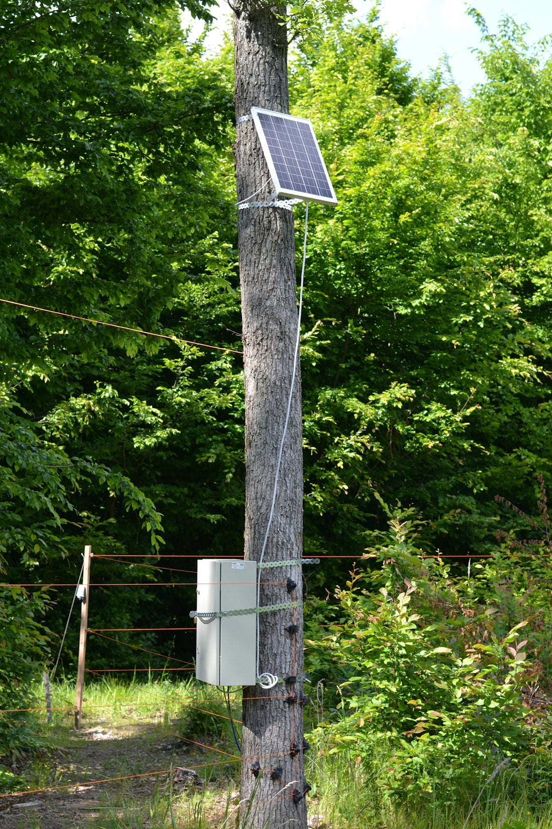 a solar panel attached to a telephone pole