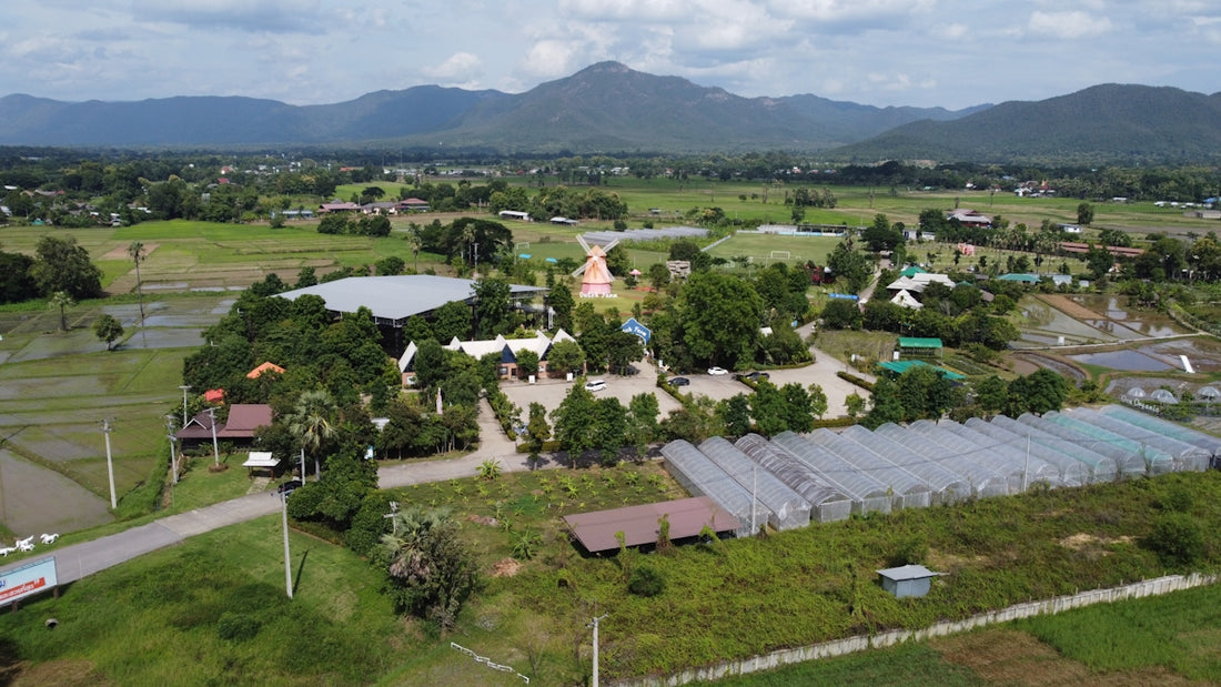 An aerial view of a small town with mountains in the background