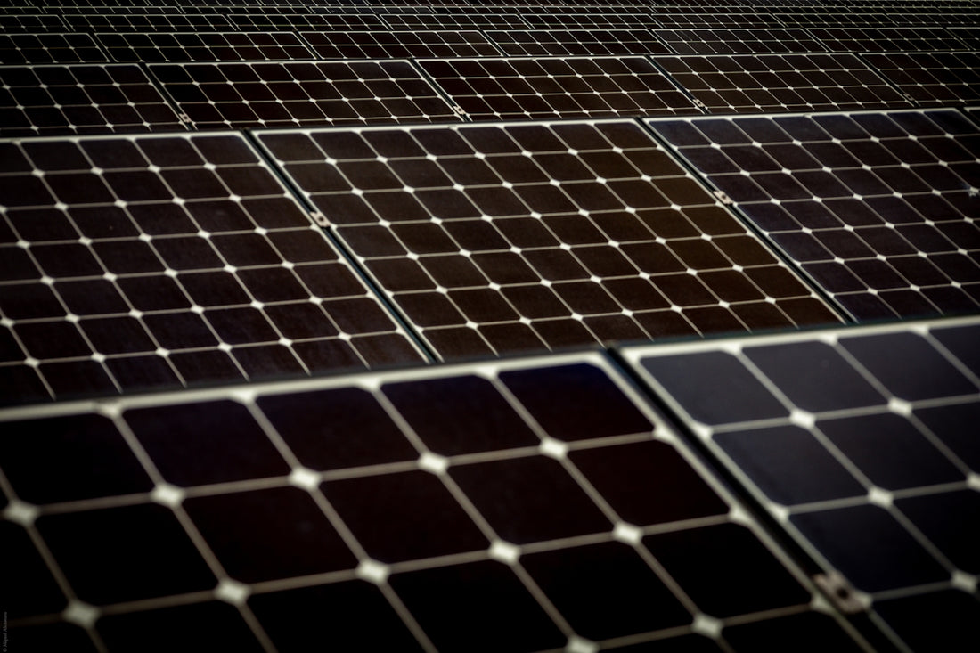 Solar panels are arranged in a vast array.