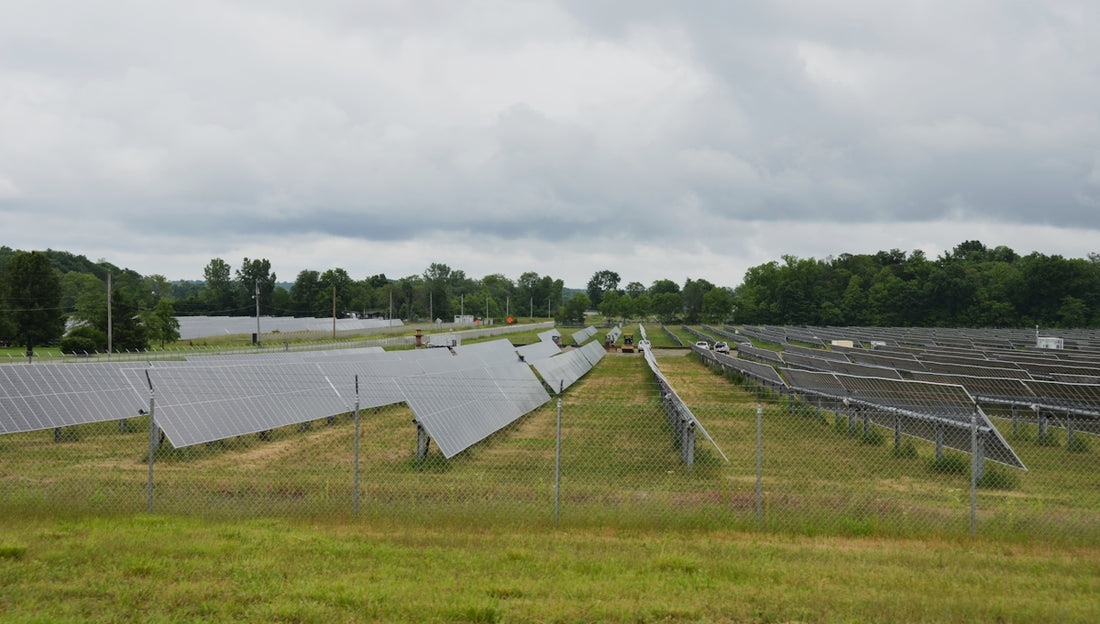 Solar panels generate renewable energy in a field.